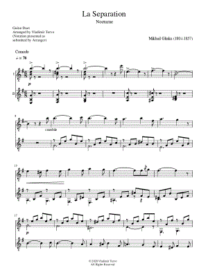 La Separation - Guitar Duet