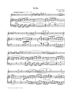 Echo - Flute & Piano