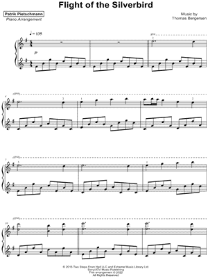 Flight of the Silverbird