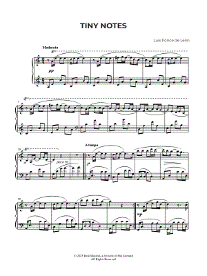 Tiny Notes