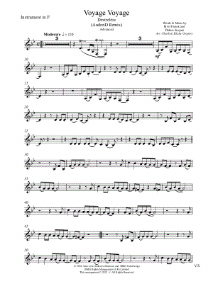 Voyage Voyage (AndreiD Remix) [advanced]