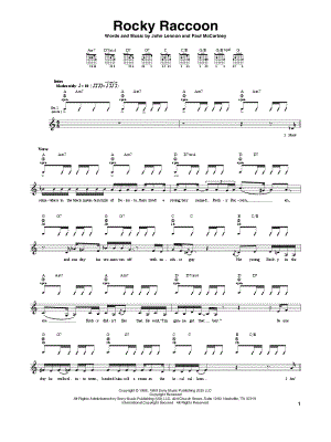 Rocky Raccoon