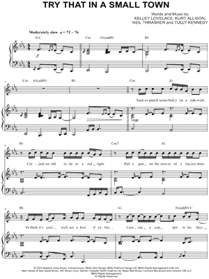 Try That in a Small Town