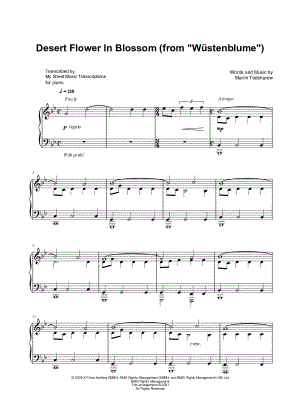 Desert Flower in Blossom