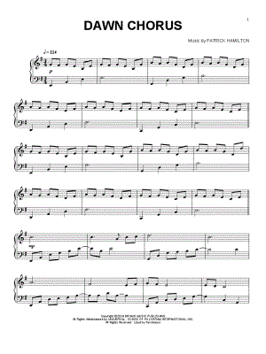 Dawn Chorus