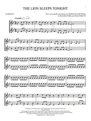 The Lion Sleeps Tonight