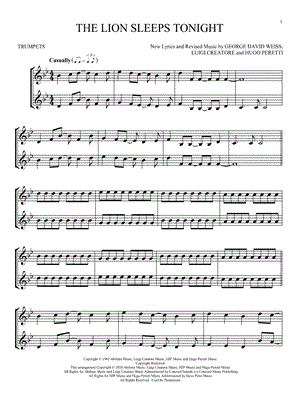 The Lion Sleeps Tonight
