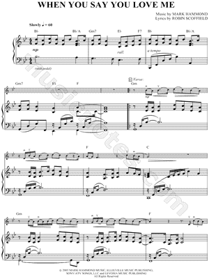 When You Say You Love Me