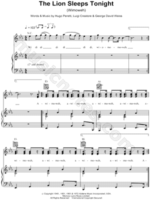 The Lion Sleeps Tonight