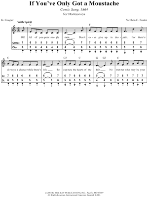 If You've Only Got a Moustache