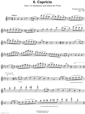 12 Variations & Solos for Flute, Op. 10b: 6. Capricio