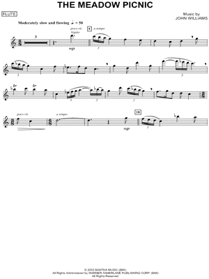 The Meadow Picnic - Flute