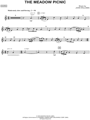 The Meadow Picnic - French Horn