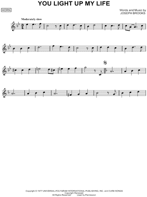 You Light Up My Life