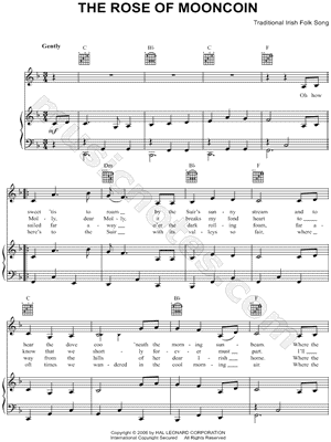 The Rose of Mooncoin