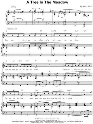 A Tree In The Meadow