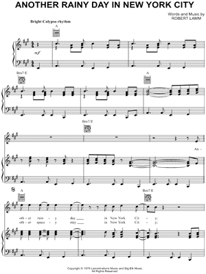 Another Rainy Day In New York City