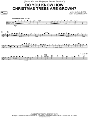 Do You Know How Christmas Trees Are Grown?