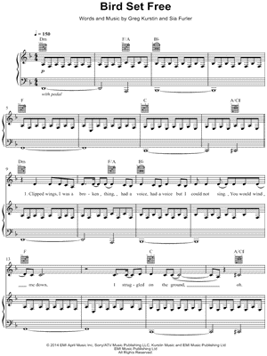 Bird Set Free