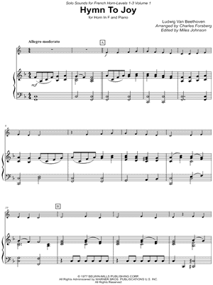 Ode to Joy by Ludwig Van Beethoven - Sheet Music