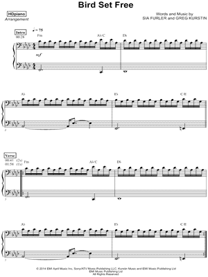 Bird Set Free