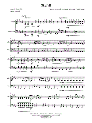 Skyfall - Violin & Cello
