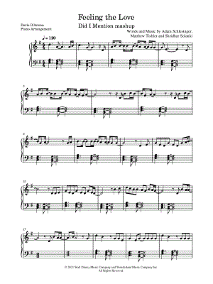 Feeling the Love / Did I Mention Mashup