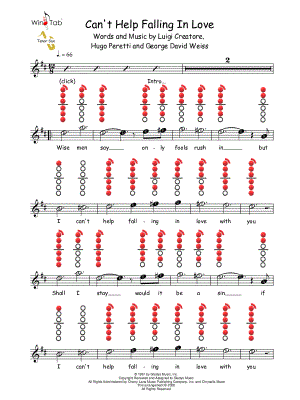 Can't Help Falling in Love