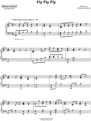 Fly Fly Fly