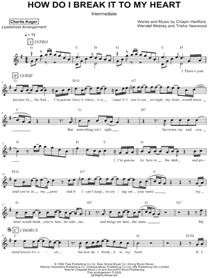 How Do I Break It To My Heart