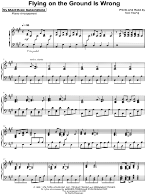 Flying on the Ground Is Wrong