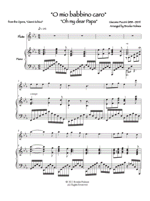 O mio babbino caro - Flute & Piano