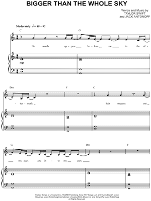 Bigger Than The Whole Sky