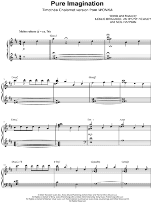 Pure Imagination from Wonka (2023) - Sheet Music