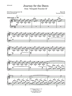 Journey for the Dawn [advanced]